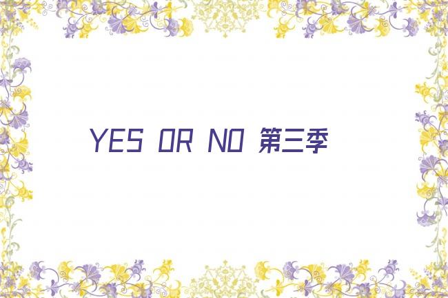 YES OR NO 第三季剧照